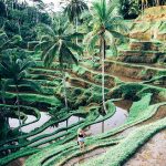 Tegallalang rice terrace